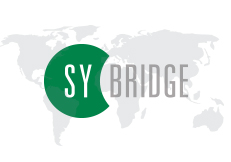 SY-BRIDGE